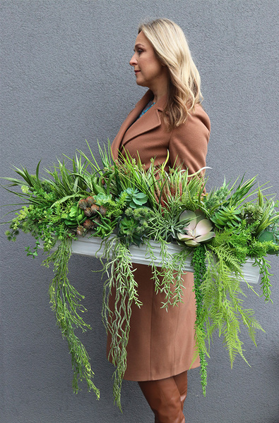 Green Hrefa, kompozycja sukulenty do twojej donicy