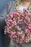 Flowers 4 You, wiosenny wianek z gipsówki, brudny róż