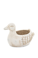  Garden Delight, osłonka kaczka doniczka