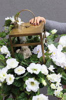 Angelo Garden Gold New, kompozycja nagrobna z lampionem