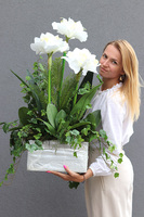 Amarillo, sztuczna kompozycja w gąbce do donicy klienta, wys.75cm