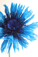 Chaber Paper Flowers, ręcznie robiony kwiat papierowy