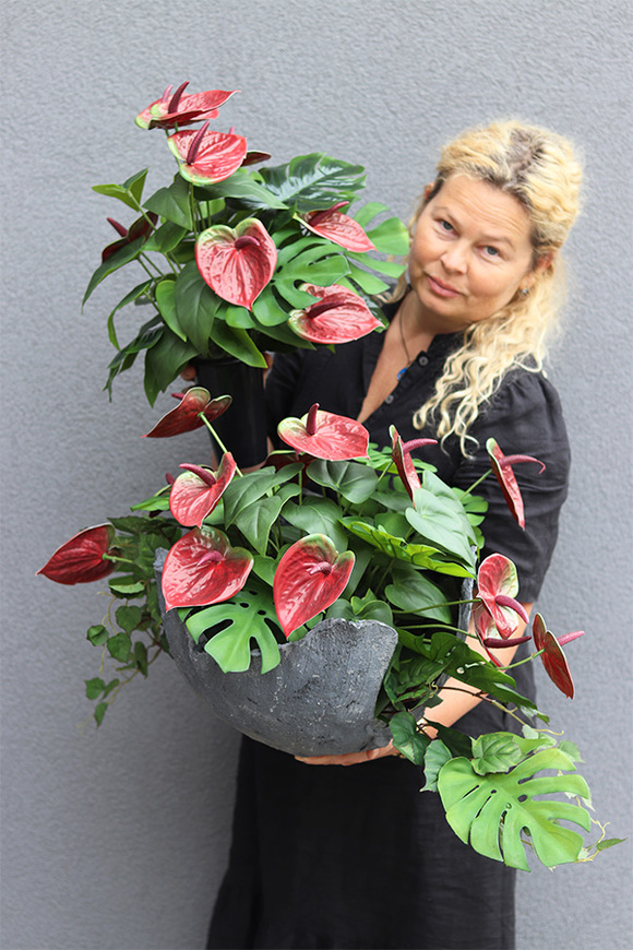 Anturium Bordo, bukiet nagrobny we wkładzie