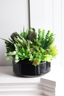 Suculentis Gaina 2, zielona kompozycja z sukulentami, wym.25x23cm