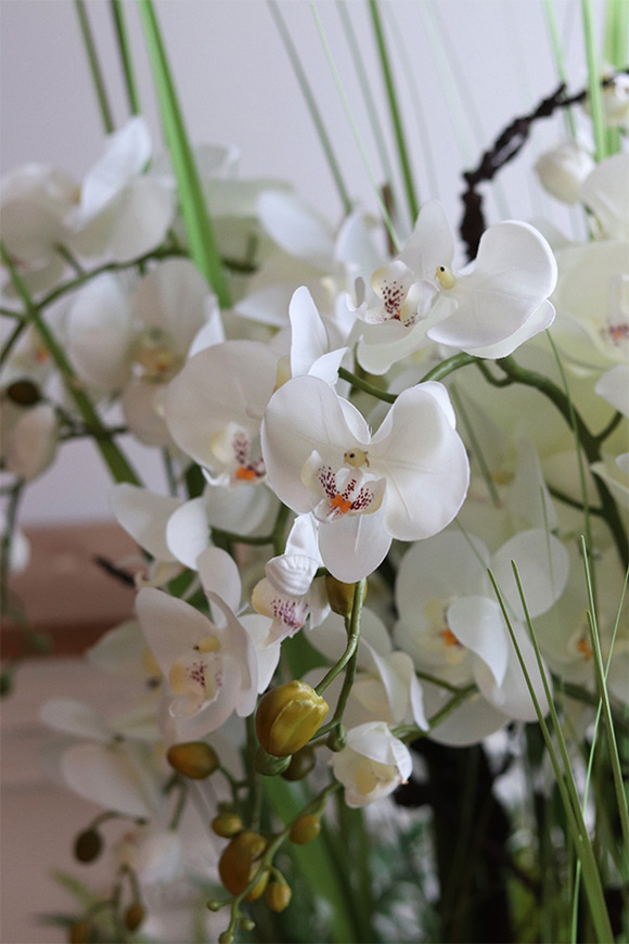 Fiberglass Grande Leucadio efektowny storczyk w białej donicy z fiberglass