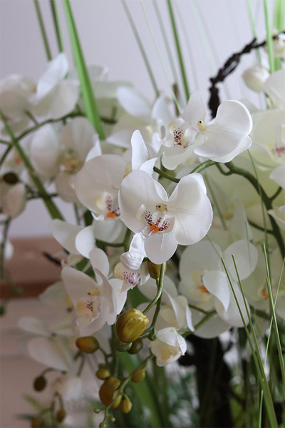 Fiberglass Grande Leucadio efektowny storczyk w białej donicy z fiberglass