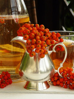 mlecznik posrebrzany Positano 