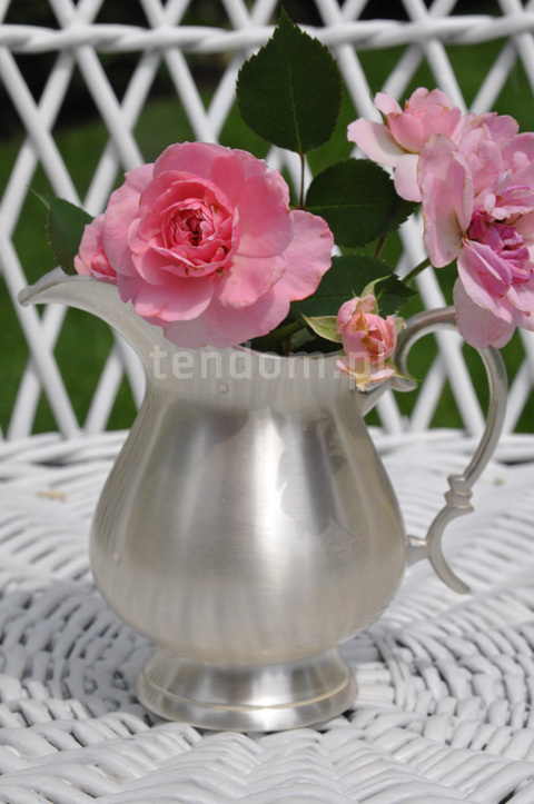 mlecznik posrebrzany Positano 