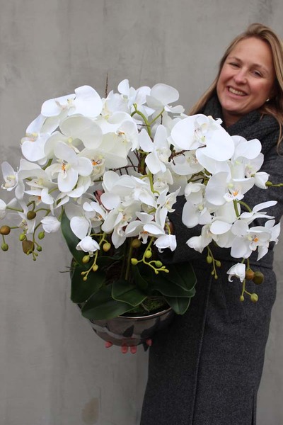 Srebrna Weranda, elegancki storczyk w wazonie Glamour, wys.74cm