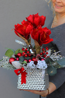 Amarylis Silver, świąteczny stroik z czerwonym amarylisem, wys.41cm  