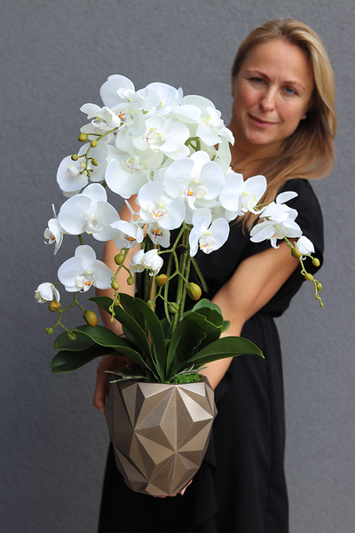 Design Toupe, efektowny storczyk w nowoczesnej donicy, wys.73cm