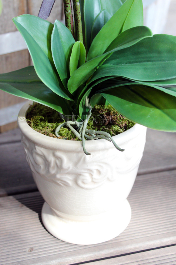 jasnozielony silikonowy storczyk Green House, wys.62cm