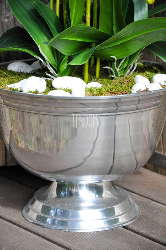 ogromny storczyk w aluminiowej donicy Kielich wys. ok.100cm