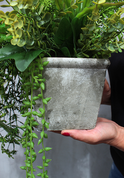 kompozycja w betonowej donicy z sukulentami Baleo, wys.34cm