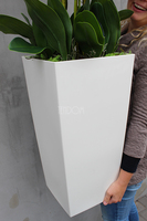 duży storczyk Mediolan Grande w białej donicy, wys.125cm