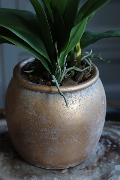 Golden Ariel, storczyk w złotym naczyniu, wys.60cm