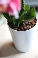 silikonowy, sztuczny storczyk Manella w prostej, białej donicy, wys.60cm