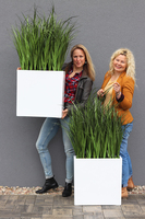 Marco Hilonea, sztuczne trawy w donicy Fiberglass, 1szt. wys.110cm