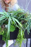 Asia Modern Resato, sukulenty w donicy na stojaku, wys.95x77x40cm