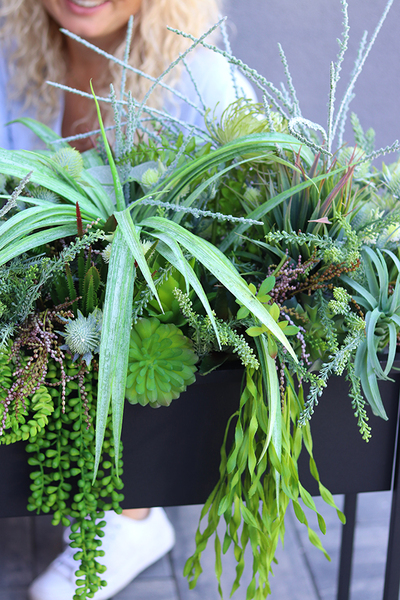 Asia Modern Resato, sukulenty w donicy na stojaku, wys.95x77x40cm 