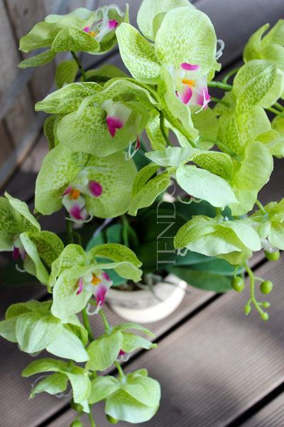 jasnozielony silikonowy storczyk Green House, wys.62cm