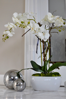 sztuczny storczyk w białej donicy White, wys.72cm