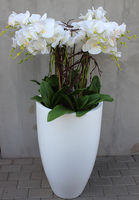 bardzo duży gumowy storczyk Grande Sentena, wys.135cm