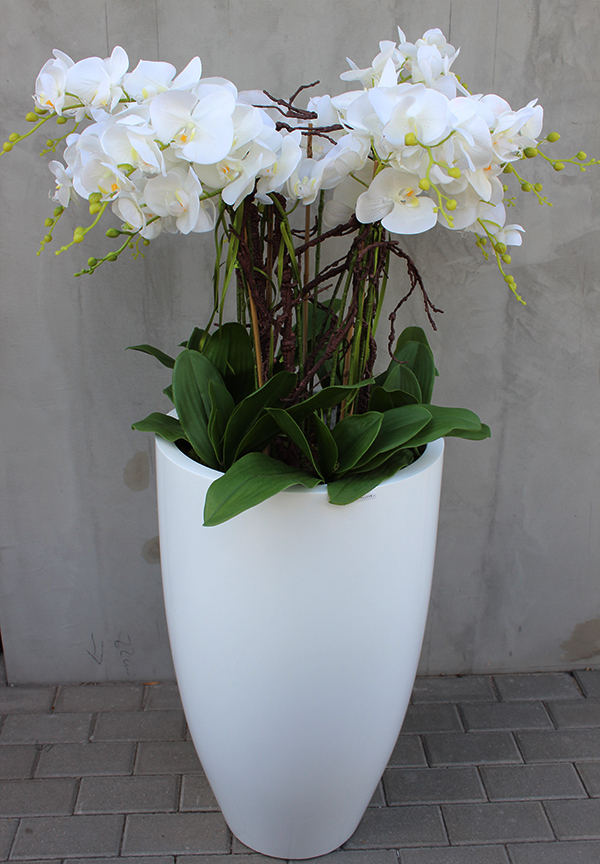 bardzo duży gumowy storczyk Grande Sentena, wys.135cm