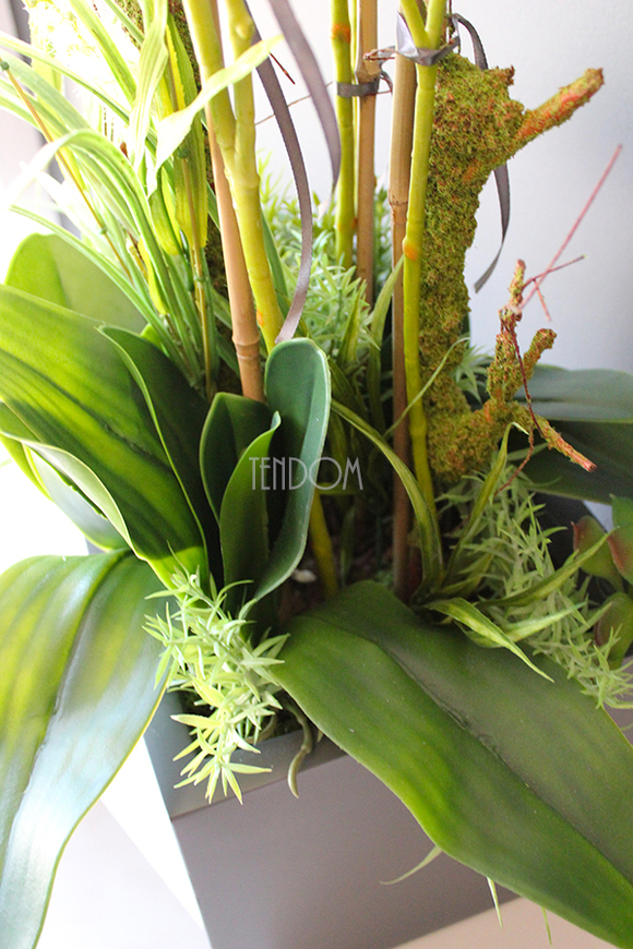 bardzo duży storczyk & sukulenty Simple Grande Grey, wys.90cm