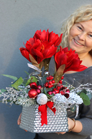 Amarylis Silver, świąteczny stroik z czerwonym amarylisem, wys.41cm  