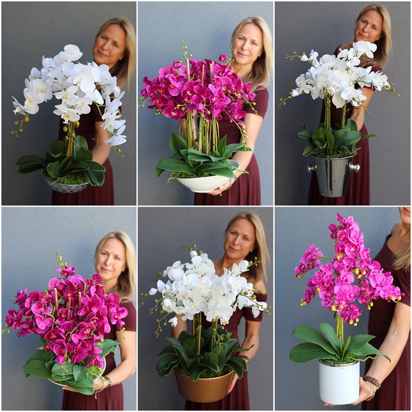 bogaty storczyk w ceramicznej misie, Fuksja Pollena, wys.65cm