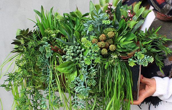 Anya 4, piękna kompozycja Sukulenty, w lustrzanej donicy, wys.30cm