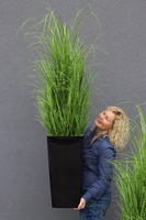 Belato, sztuczna trawa w czarnej donicy, wys.160cm