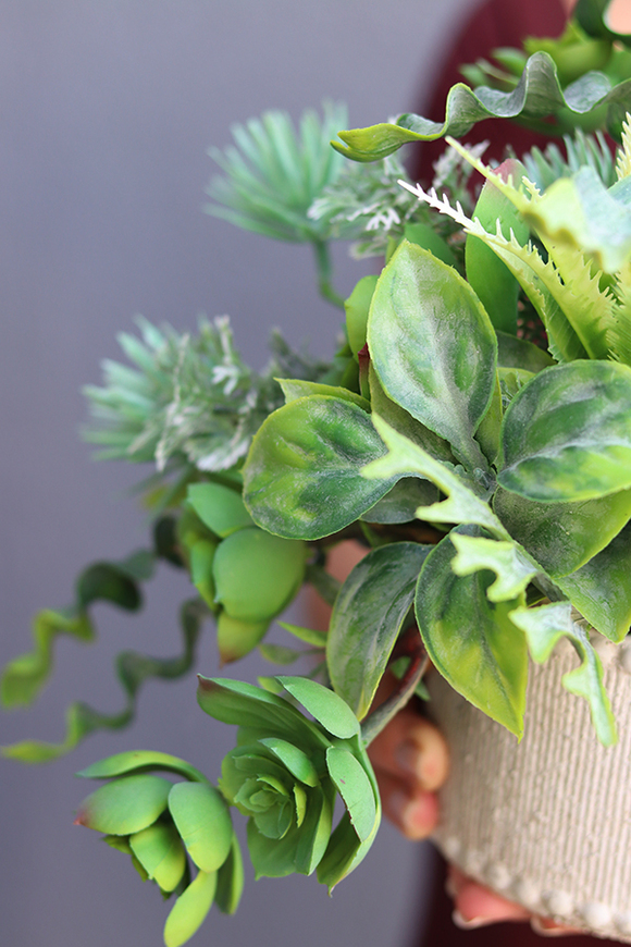 Lamona, sukulenty, kompozycja ze sztucznych roślin, wym.30x40cm