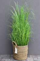 Mediolano Basket, sztuczna trawa w koszu, wys. 145cm