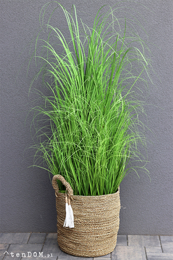 Mediolano Basket, sztuczna trawa w koszu, wys. 145cm