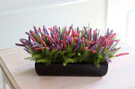 Cipriano 2 Wrzosy, kompozycja kwiatowa w czarnej donicy, wym.20x40cm