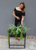 Asia Modern Resato, sukulenty w donicy na stojaku, wys.95x77x40cm 