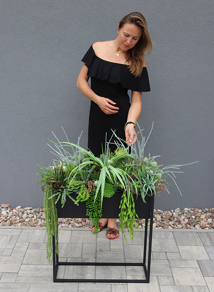 Asia Modern Resato, sukulenty w donicy na stojaku, wys.95x77x40cm