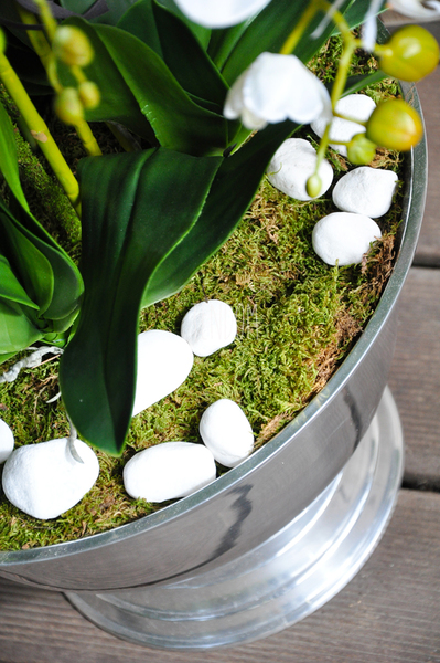 ogromny storczyk w aluminiowej donicy Kielich wys. ok.100cm