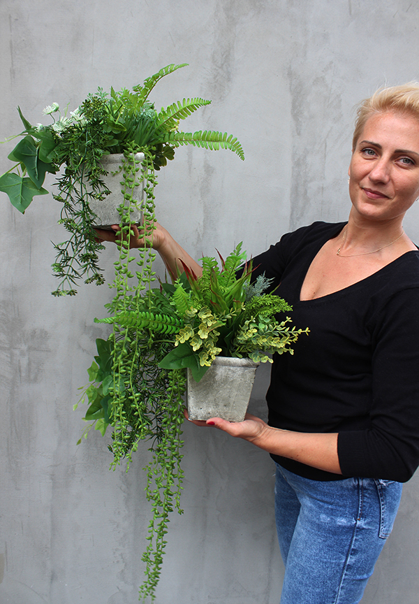 kompozycja w betonowej donicy z sukulentami Baleo, wys.34cm