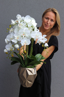 Design Toupe, efektowny storczyk w nowoczesnej donicy, wys.73cm