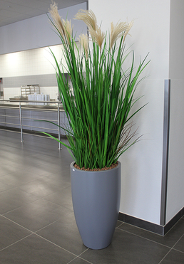 Madeira Grande, wieczne trawy w szarej donicy fiberglass, wym.190cm 