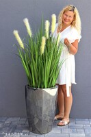 elegancka trawa w lustrzanej donicy, Silver Luck, wys.150cm