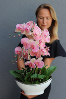 Bajlando Granada, różowy storczyk tygrysi w białej donicy glamour, wys.57cm