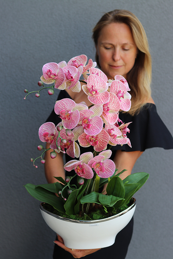 Bajlando Granada, różowy storczyk tygrysi w białej donicy glamour, wys.57cm