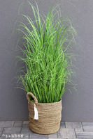 Mediolano Basket, sztuczna trawa w koszu, wys. 145cm