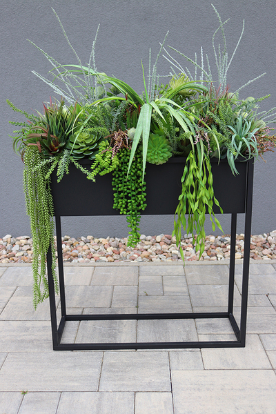 Asia Modern Resato, sukulenty w donicy na stojaku, wys.95x77x40cm