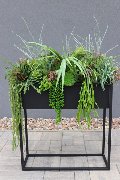 Asia Modern Resato, sukulenty w donicy na stojaku, wys.95x77x40cm 