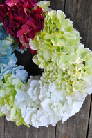 Hortensja Kolory wianek na drzwi, śr.38cm 